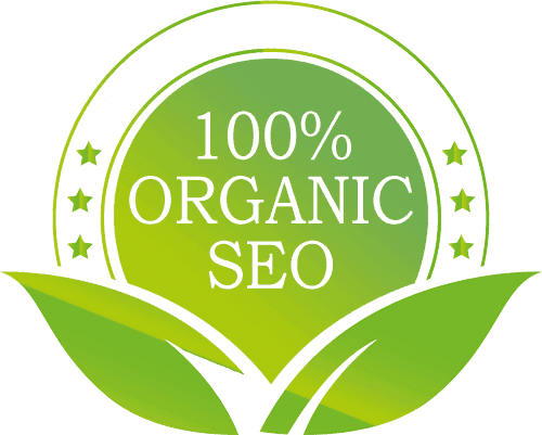 organic seo service India